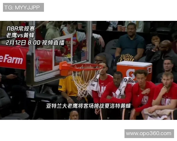 黄蜂与老鹰精彩对决完整版回顾赛场瞬间与精彩时刻分析